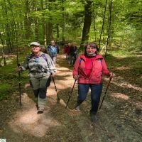 04 IMG 20260501 WA0010 BWV FRG Wanderung 1st Mai HarsdorferSteig