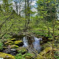 15 IMG 20250426 WA0017