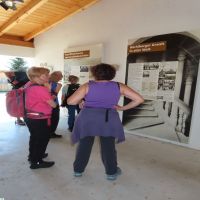 03 07 Im Stoahauermuseum   Büchlberg 5 25