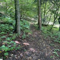 03 IMG 20250804 WA0014 BWV FRG Orlik CZ RadWandern Rad Uhrmann 01